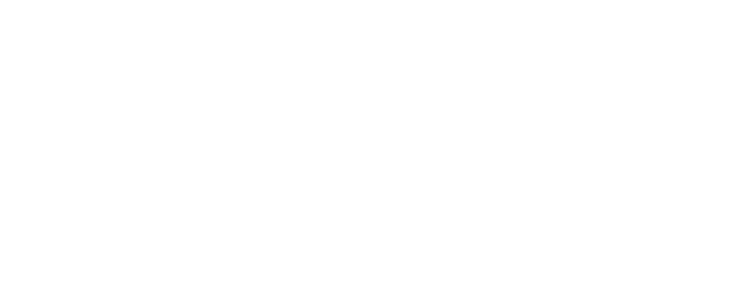 Fürther Kärwazeitung