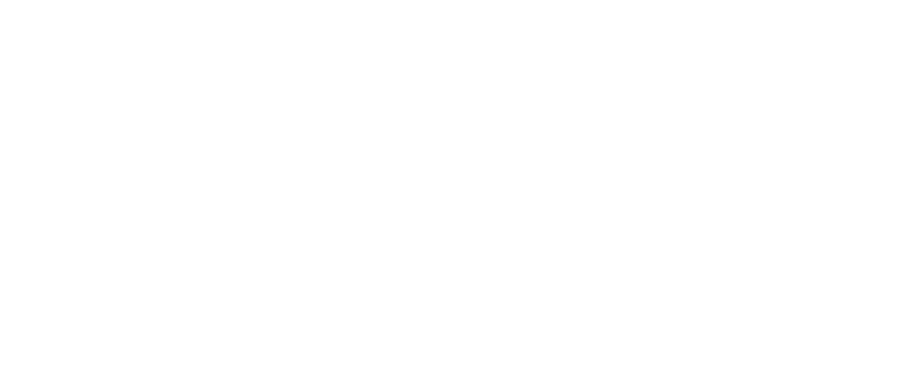 Fuerther Kaerwazeitung Logo weiss