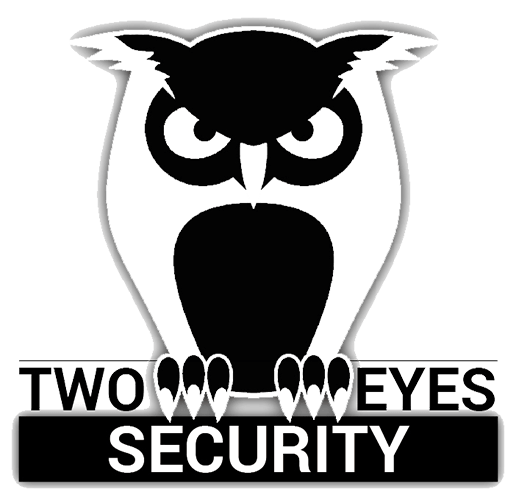 Two Eyes Security Logo