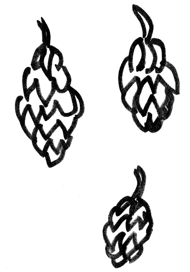 hopfen_grafik