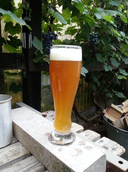 selbstgebrautes Weizenbier